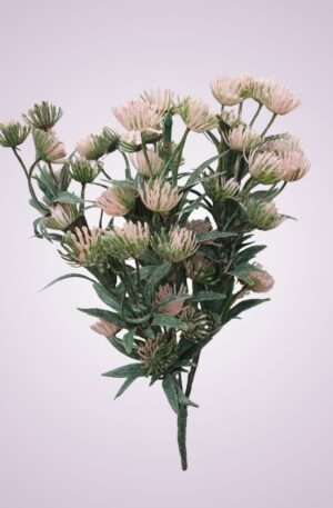 Kytica pvc<p>A603923PI