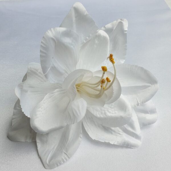 10223 amarylis - white
