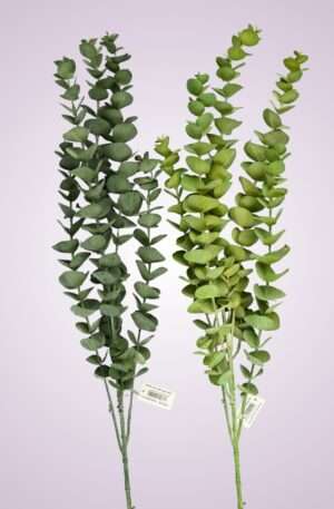 Eukalyptus trs<p>82 cm<p>Y201124