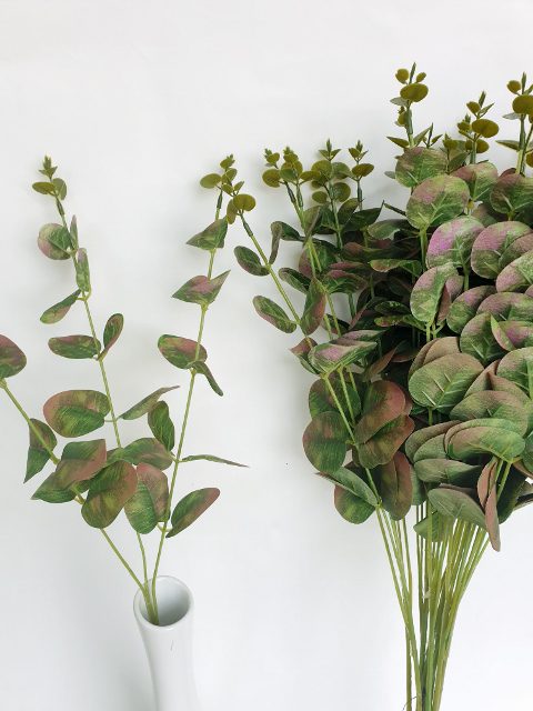 Eucalyptus 55 cm - zeleno purpurový