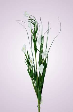 Trs s kálou<p>LHY11663