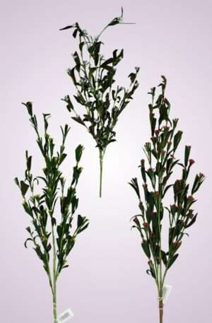 Zeleň trs s kvietkami<p>LHY11701