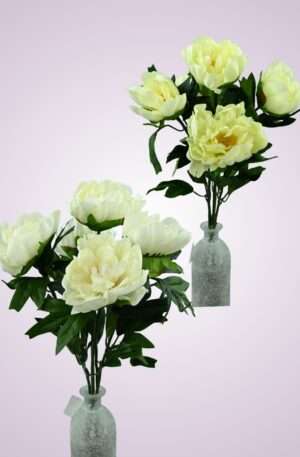 Kytica pivónia mix<p>63091