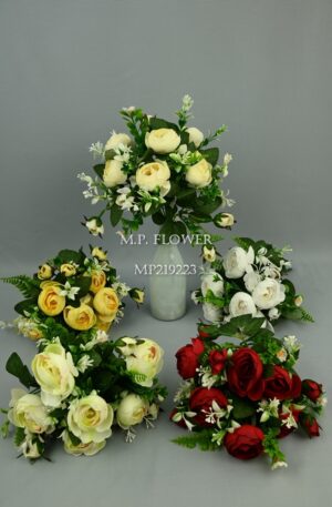 Kytica ranunculus<p>MP219223