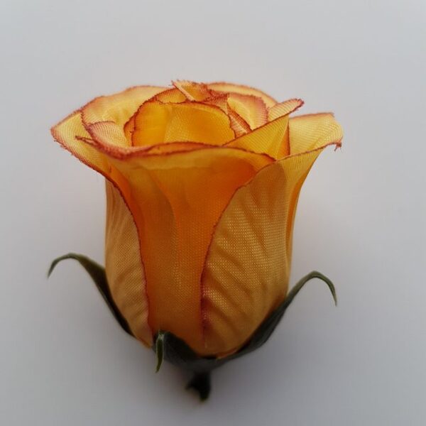 UP980117 - ruža beige
