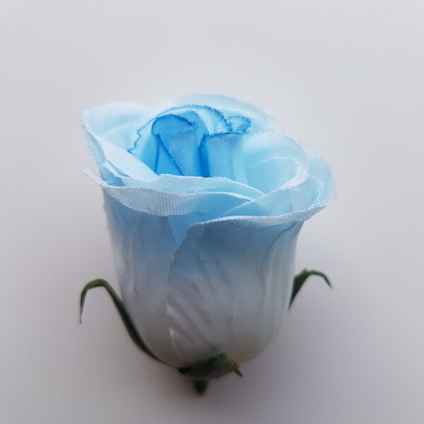 UP980117 ruža - blue