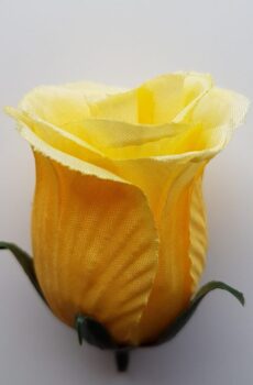 UP980117 ruža - lt yellow