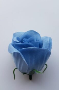 Ruža puk 5 cm - Modrá