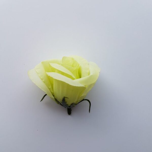 Ruža puk 5 cm - Zeleno žltá