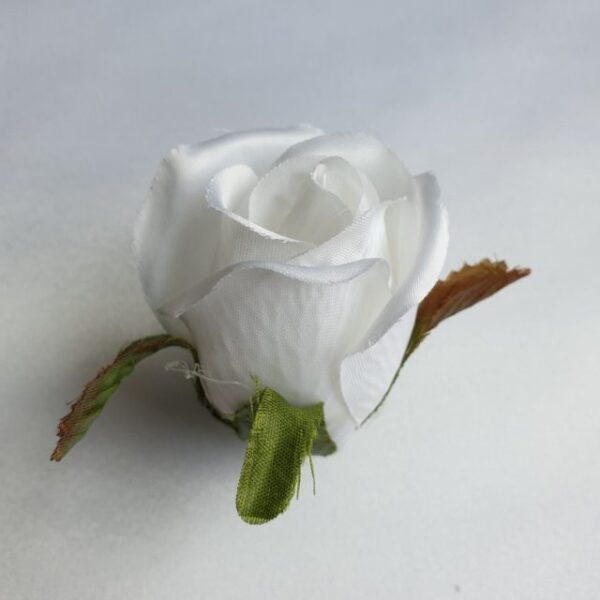 Ruža puk 6 cm - 2 - Biela