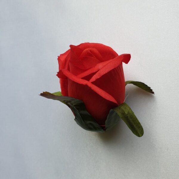 Ruža puk 6 cm - 2 - Červená
