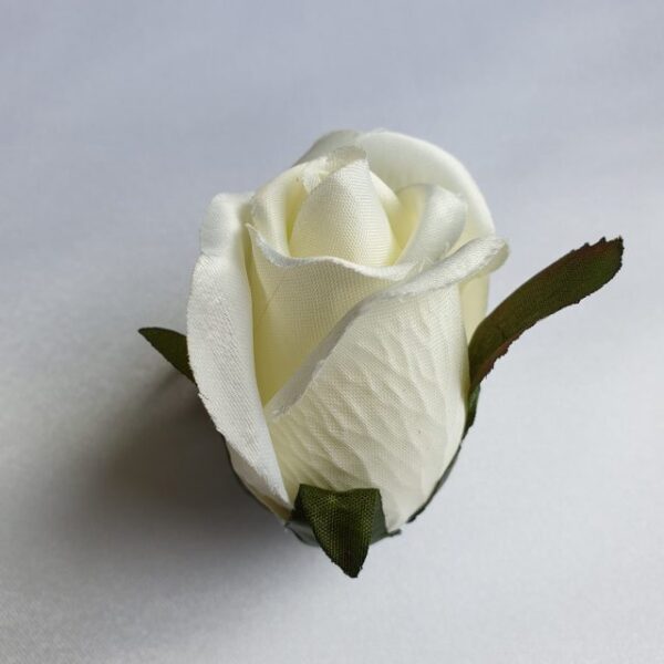 Ruža puk 6 cm - 2 - Krémová