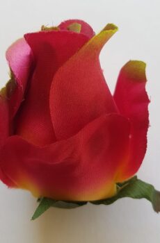 AR10621 ruža beauty