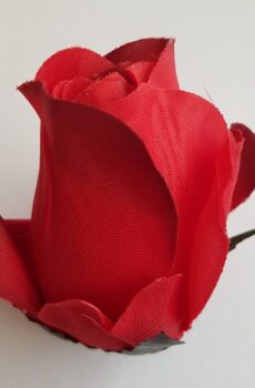 AR10621 ruža - red black čierna