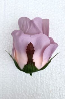AR106621 ruža lt lilac