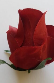 AR10621 ruža red 1995