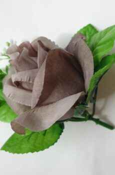 ML6031 ruža grey brown