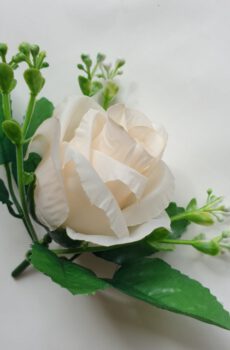ML6031 ruža dk cream 50#
