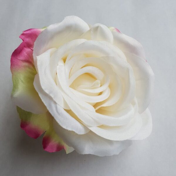 Ruža vencová 11 cm - Tmavo krémová