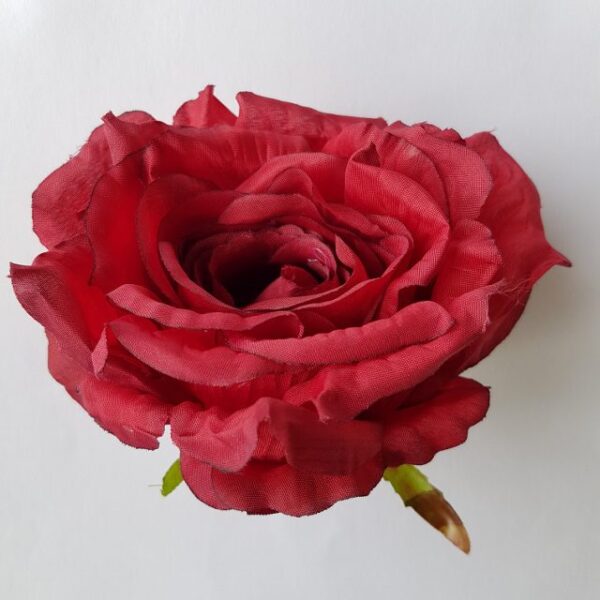 Ruža vencová 14 cm - Červená