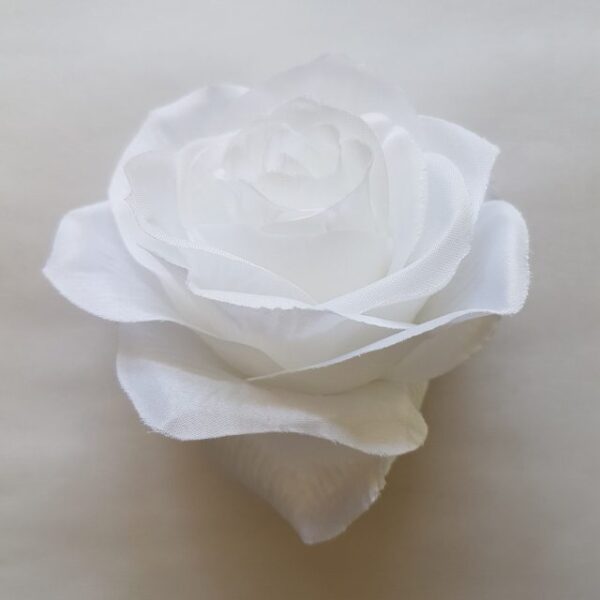 Ruža vencová - Biela