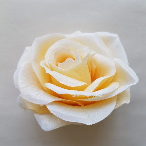 Ruža vencová - Ivory