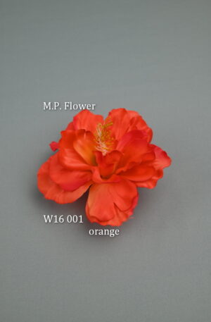Hibiskus<p>W16 001