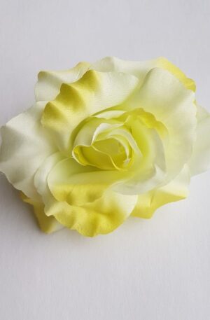 SRH16402 ruža cream green