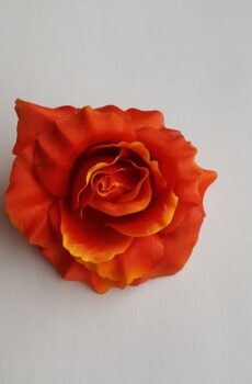 SRH16402 ruža - orange