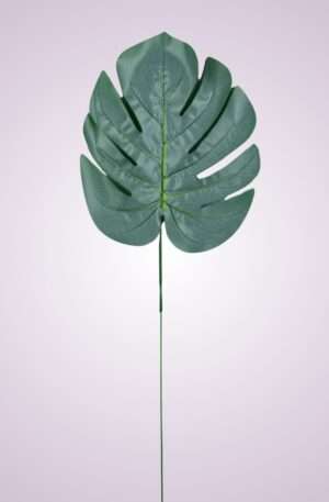 List monstera <p> 0546S-10
