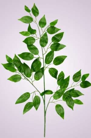 List konár<p>0557-3029