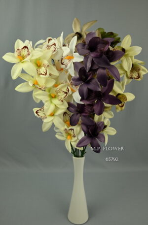 orchidea stopková<p>65792
