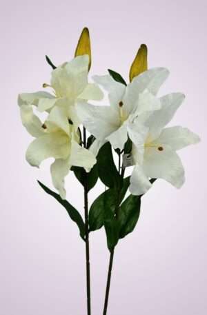 Ľalia satén<p>AJ26401