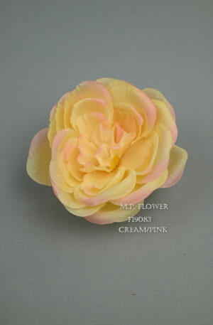 Camellia<p>F19083