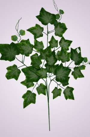 Hrozno list vetva<p>FMP 041