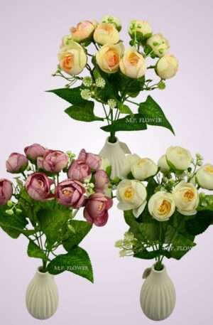 Kytica ranunculus<p>HS1936