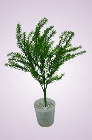 Kytica pvc<p>HS8364P