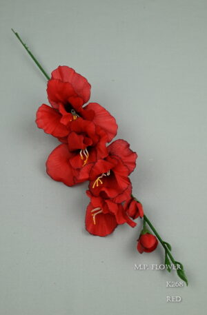 gladiola<p>K265