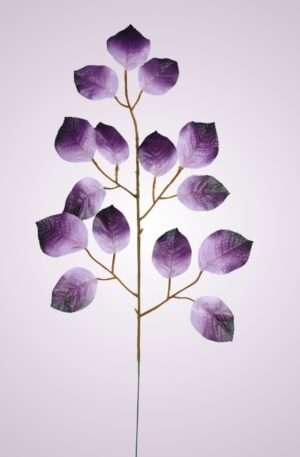 List ruža vetva <p>L179