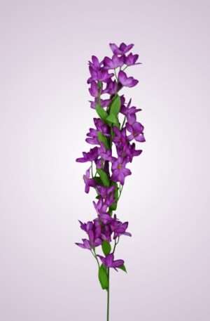 LS015628 jazmín -fialový