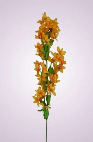 LS015628 jazmín- oranžový