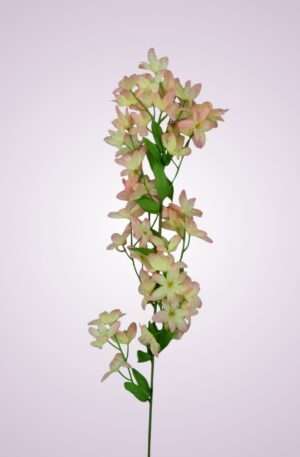 LS015628 jazmín - ružový