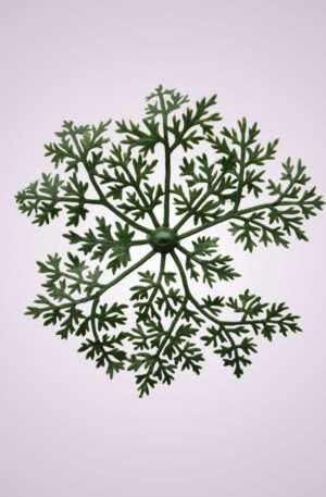 LV2211mimóza - green