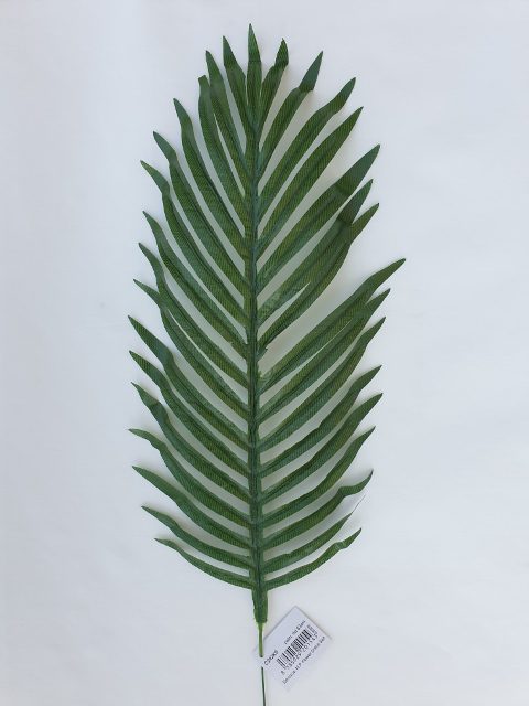 List palma 52 cm