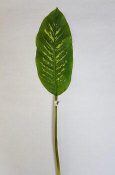 List pvc 80 cm