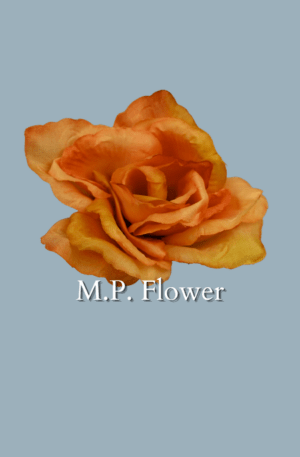 MP-R1-FH ruža - orange