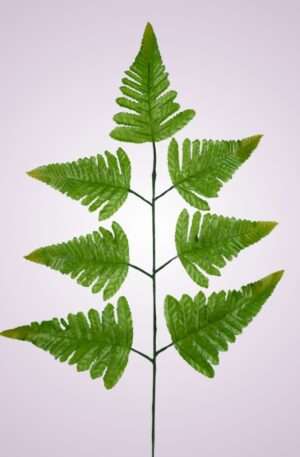 MP0543 rumora GREEN YL