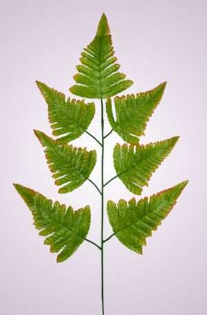 MP0543- AUT GREEN BR