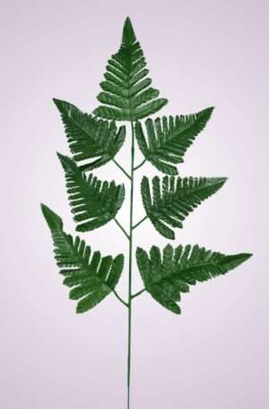 MP0543 rumora DK GREEN