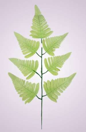 Rumora cream<p>MP0543SAT